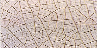 Pasta, Polish ve Boya Koruma