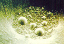 Boya Kusurları, Nedenleri ve Onarım Yöntemleri