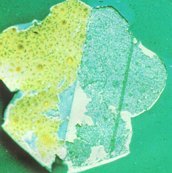 Boya Kusurları, Nedenleri ve Onarım Yöntemleri