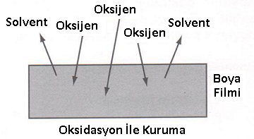 Boyamadaki Kuruma Nasıl Olur