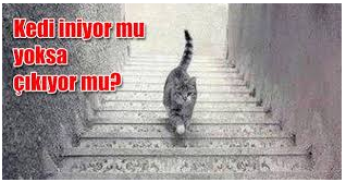 Metamerizm ve Renk Ölçümü