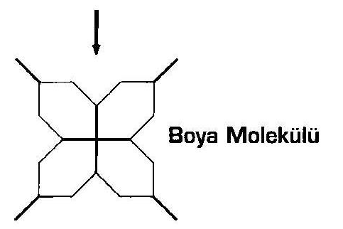 Boyamadaki Kuruma Nasıl Olur